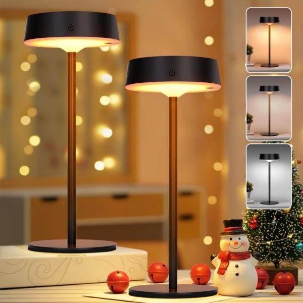 Wireless LED Table Lamp, Solar Outdoor Table Lamp for Touch Switch, Black USB Battery Table Lamp, 3 Colour Temperatures, Continuous Table Lamp, Dimmable for Indoor and Outdoor Use (Pack of 2) [Energy Class D]